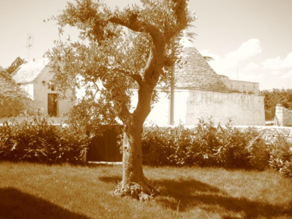 La Trullesa Holiday Alberobello Exterior photo